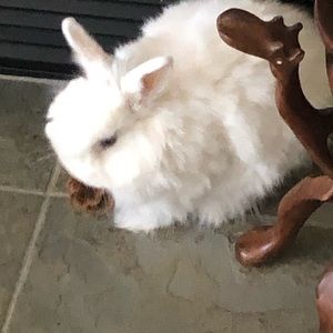 Meet your Posher, Jami